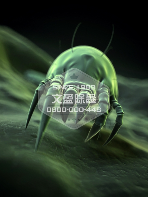 文盈除白蟻消毒除臭公司 0800-000-448 20.jpg