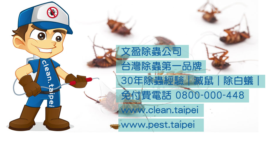 文盈除白蟻 01.jpg