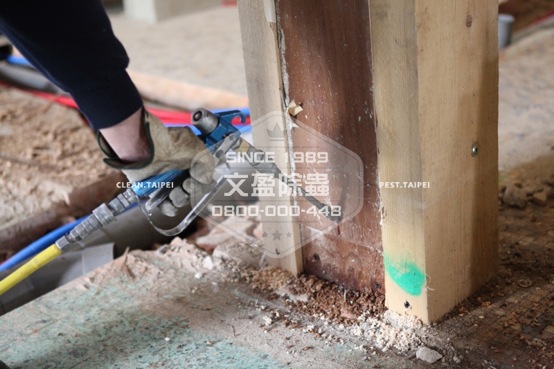 文盈除白蟻公司 30年經驗 0800-000-448 73.jpg