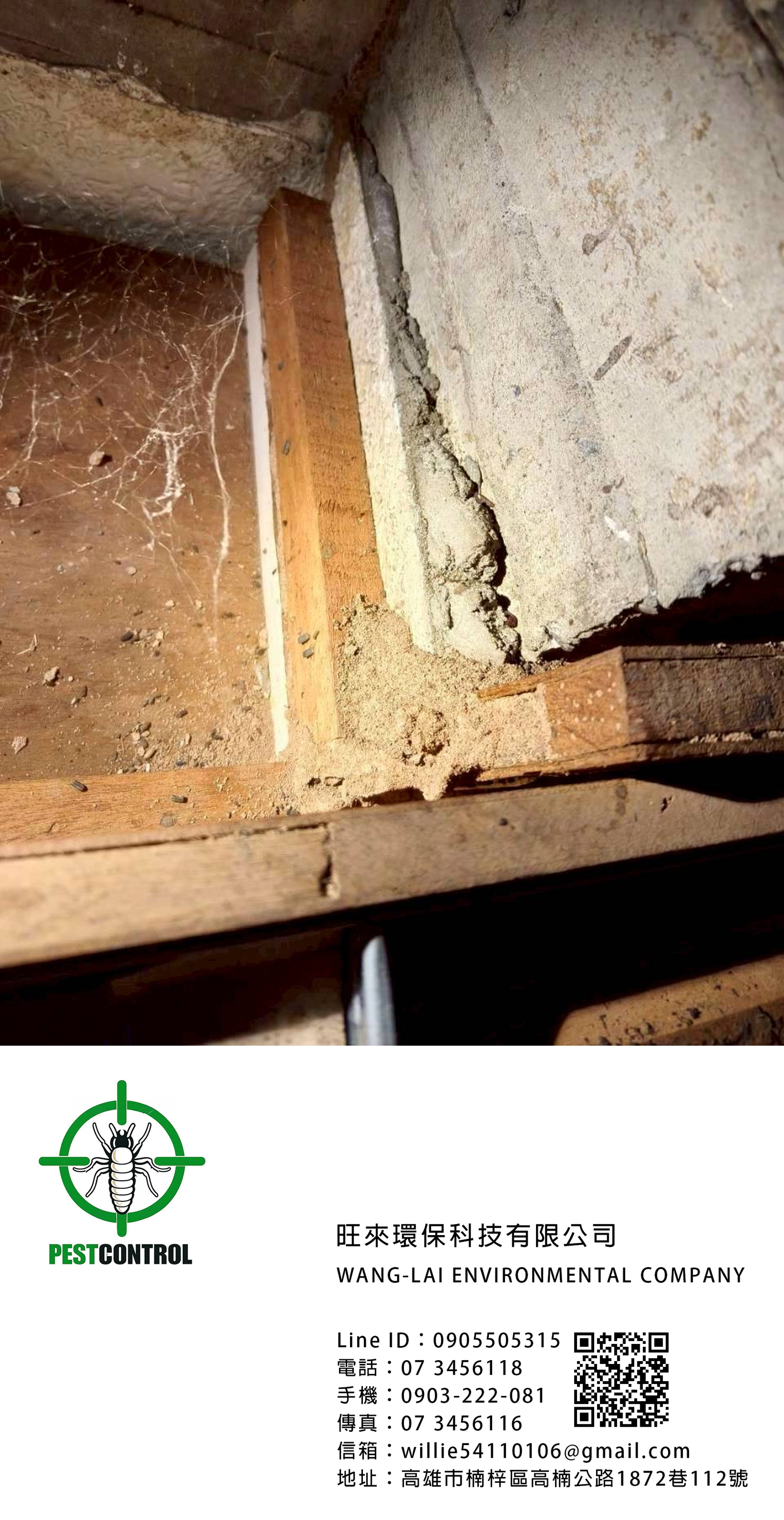 1773999169393548.jpg 1773998985554.jpg